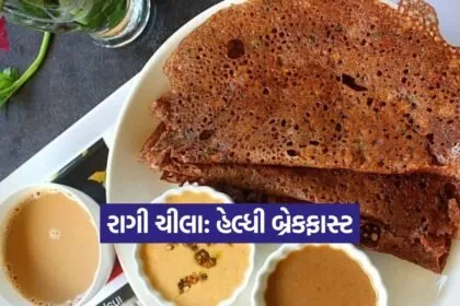 kruti 9