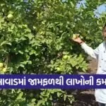 Organic Guava Farming Gujarat 1