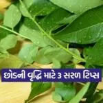 kruti 10