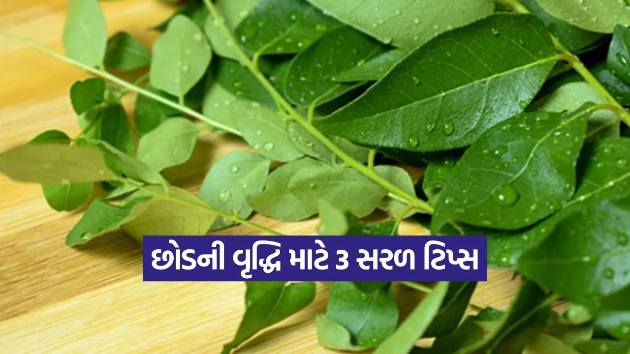 kruti 10.jpg