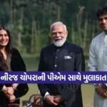 kruti 12