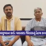 kruti 13