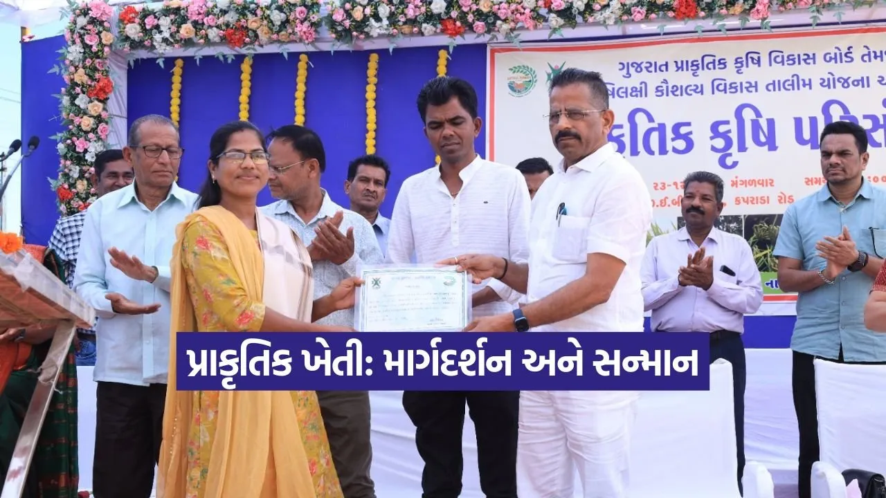 kruti 18.jpg