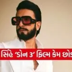Ranveer Singh Don 3