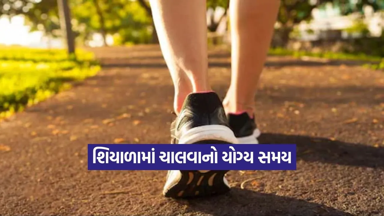 kruti 28.jpg