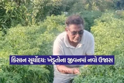 kruti 33