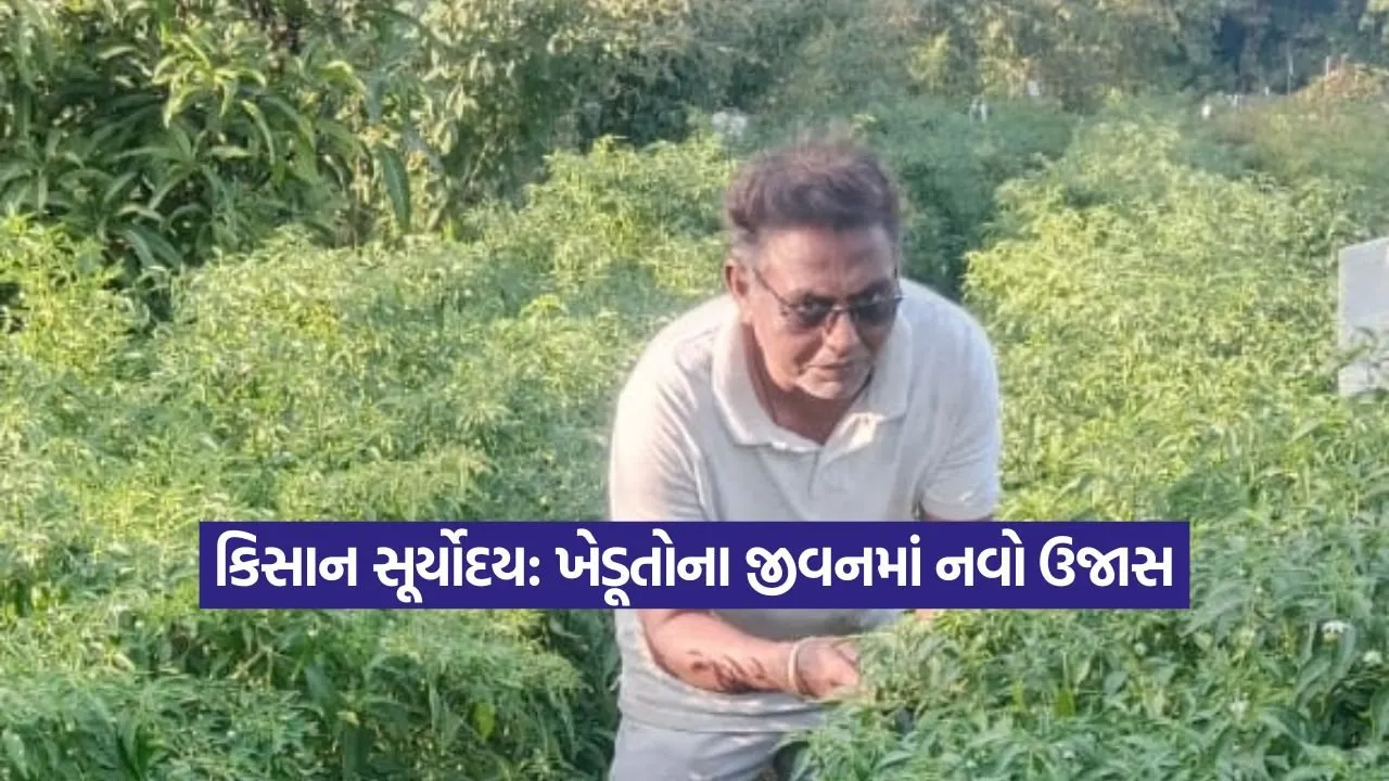 kruti 33.jpg
