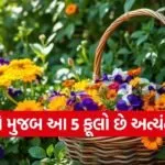 Lucky Flowers