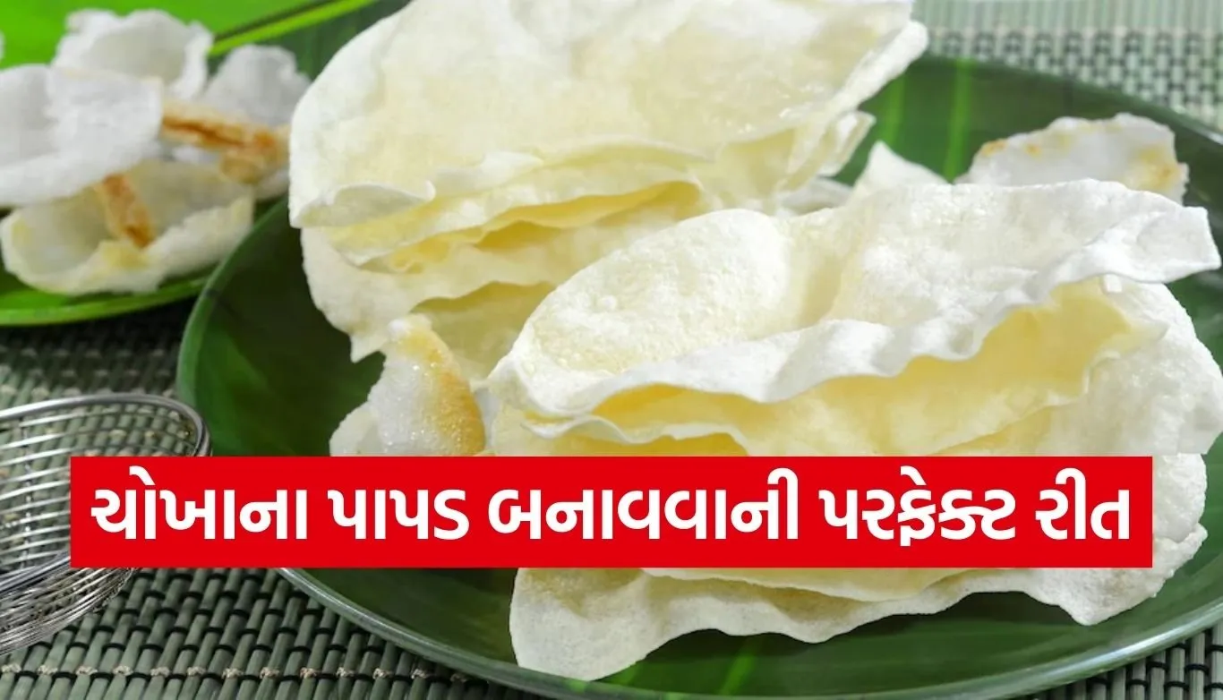Rice Flour Papad
