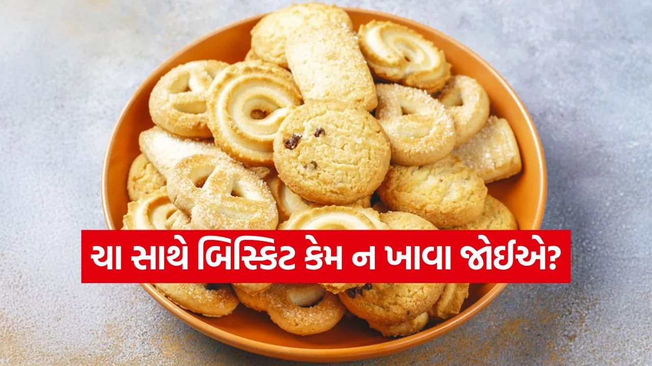 dharmishtha 1 12.jpg