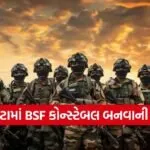 BSF Recruitment