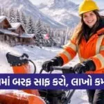 Snow Removal Job