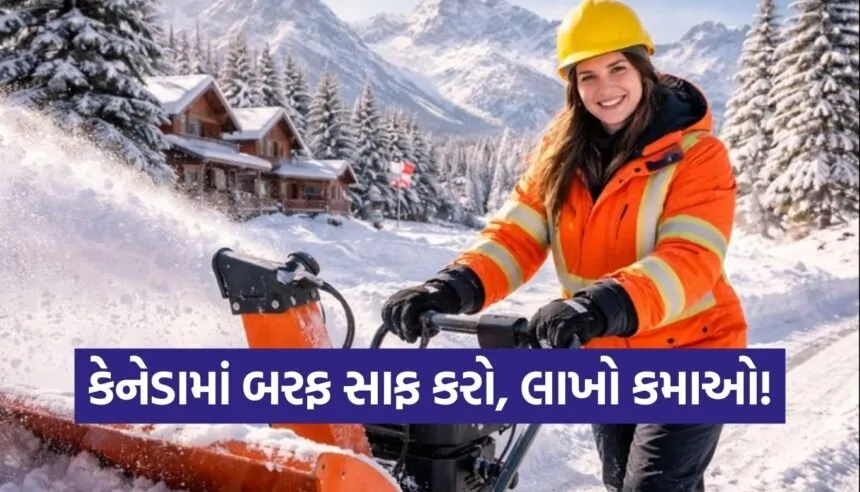 Snow Removal Job