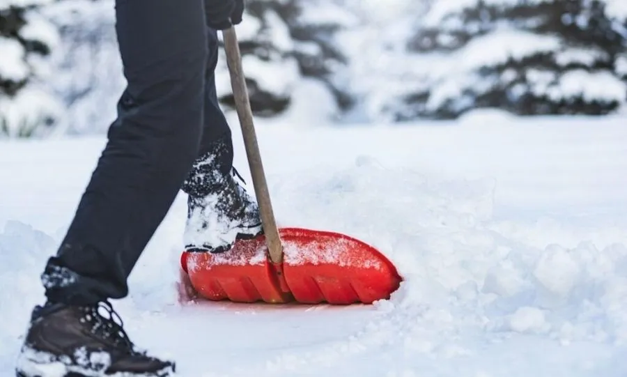 Snow Removal Job