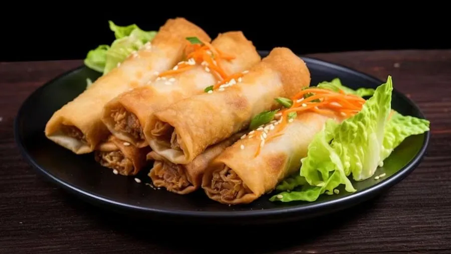 Spring Roll 