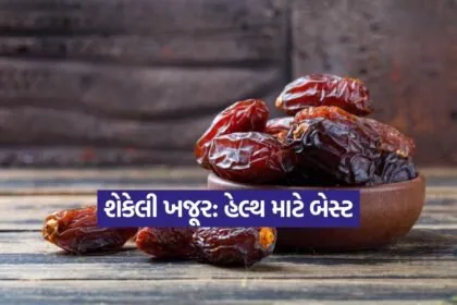 Dharmishtha 72