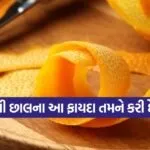 dharmishtha 1 43