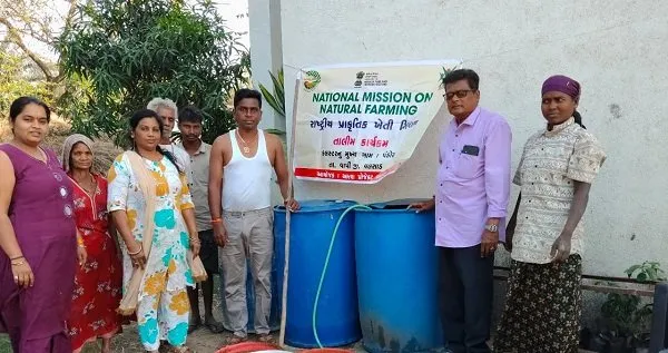 વાપીના વંકાછ- કોચરવામાં આંબા પાકમાં જીવામૃતનું મહત્વ ખેડૂતોને સમજાવાયું 2 valsad1.jpg