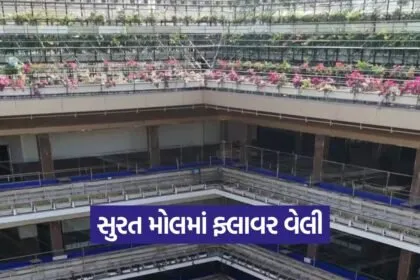 Garden Mall Surat