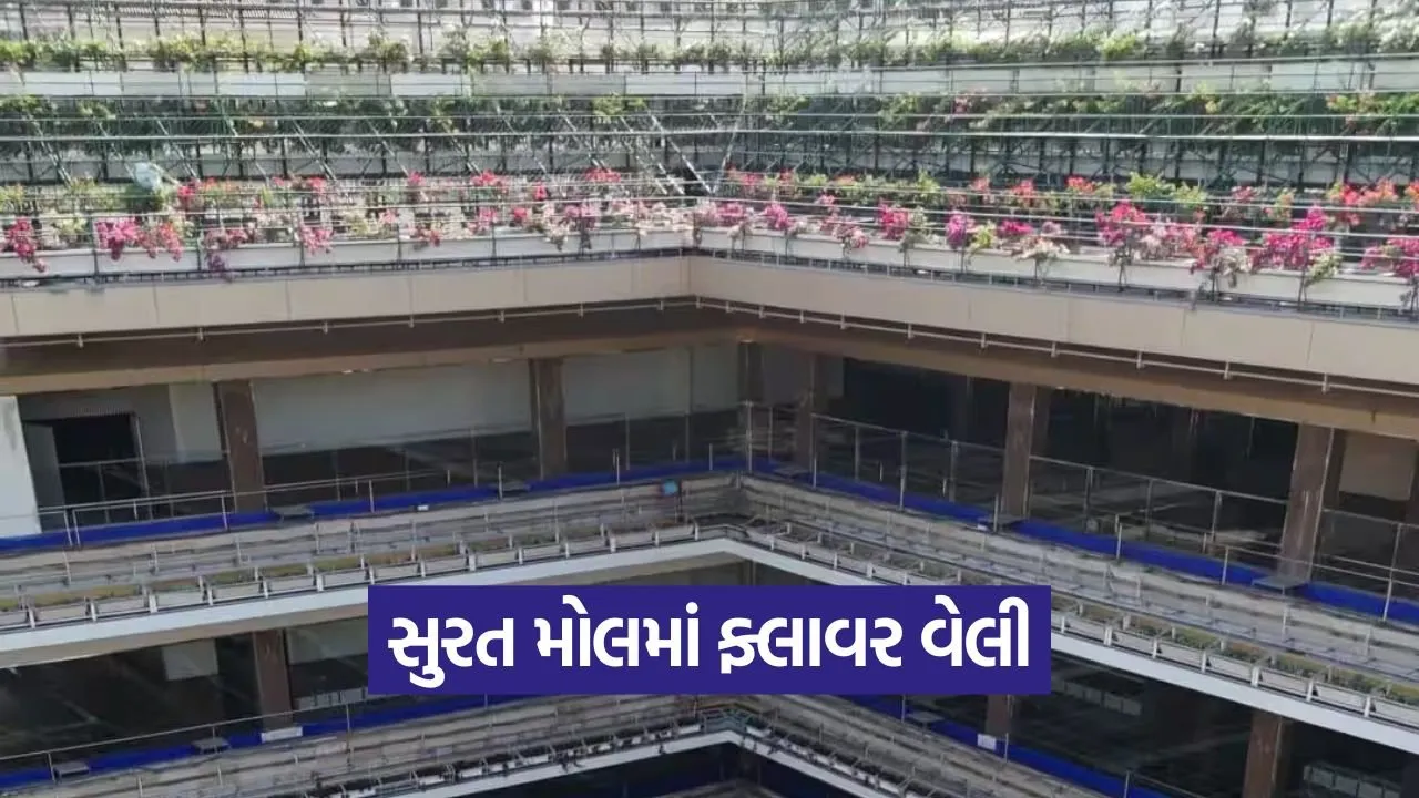 Garden Mall Surat.jpg
