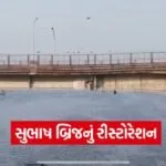 Subhash Bridge Ahmedabad Project 1