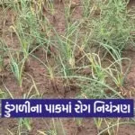 Onion Crop Disease Control 1