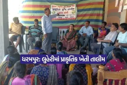 Dharmishtha 20251226 203700 0000