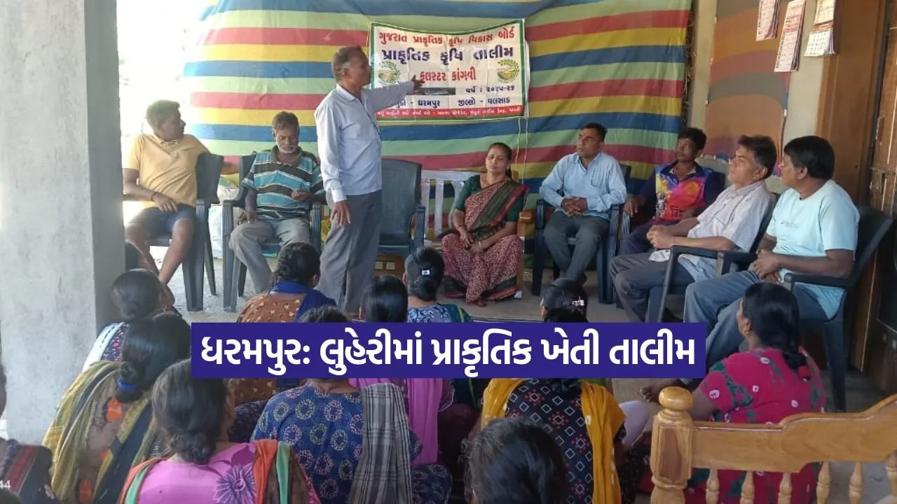 Dharmishtha 20251226 203700 0000.jpg
