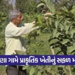 Natural Farming Banaskantha