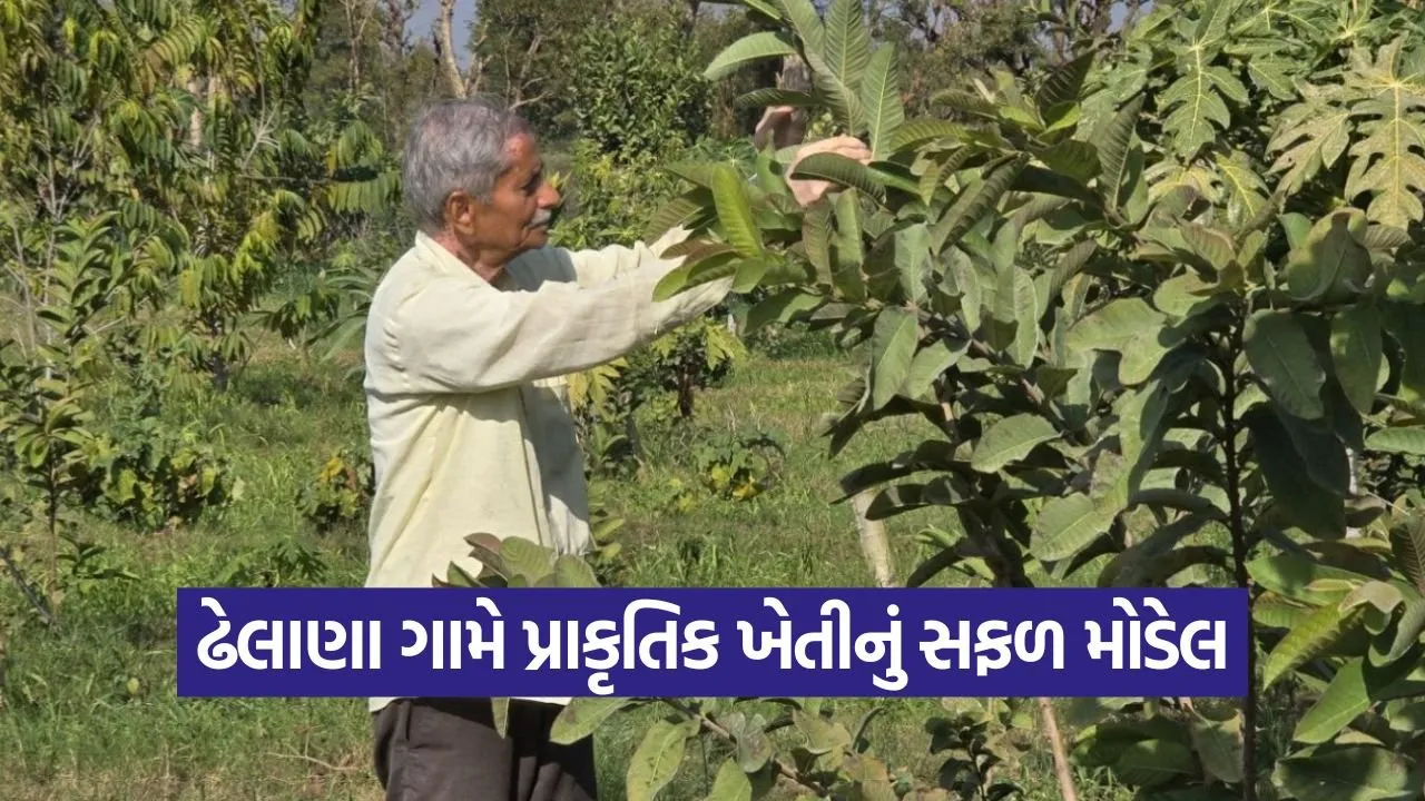 Natural Farming Banaskantha.jpg