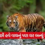 dharmishtha 1 48