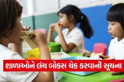 school lunch nutrition 1