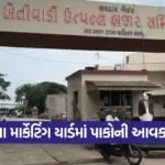 Mahuva Marketing Yard Prices