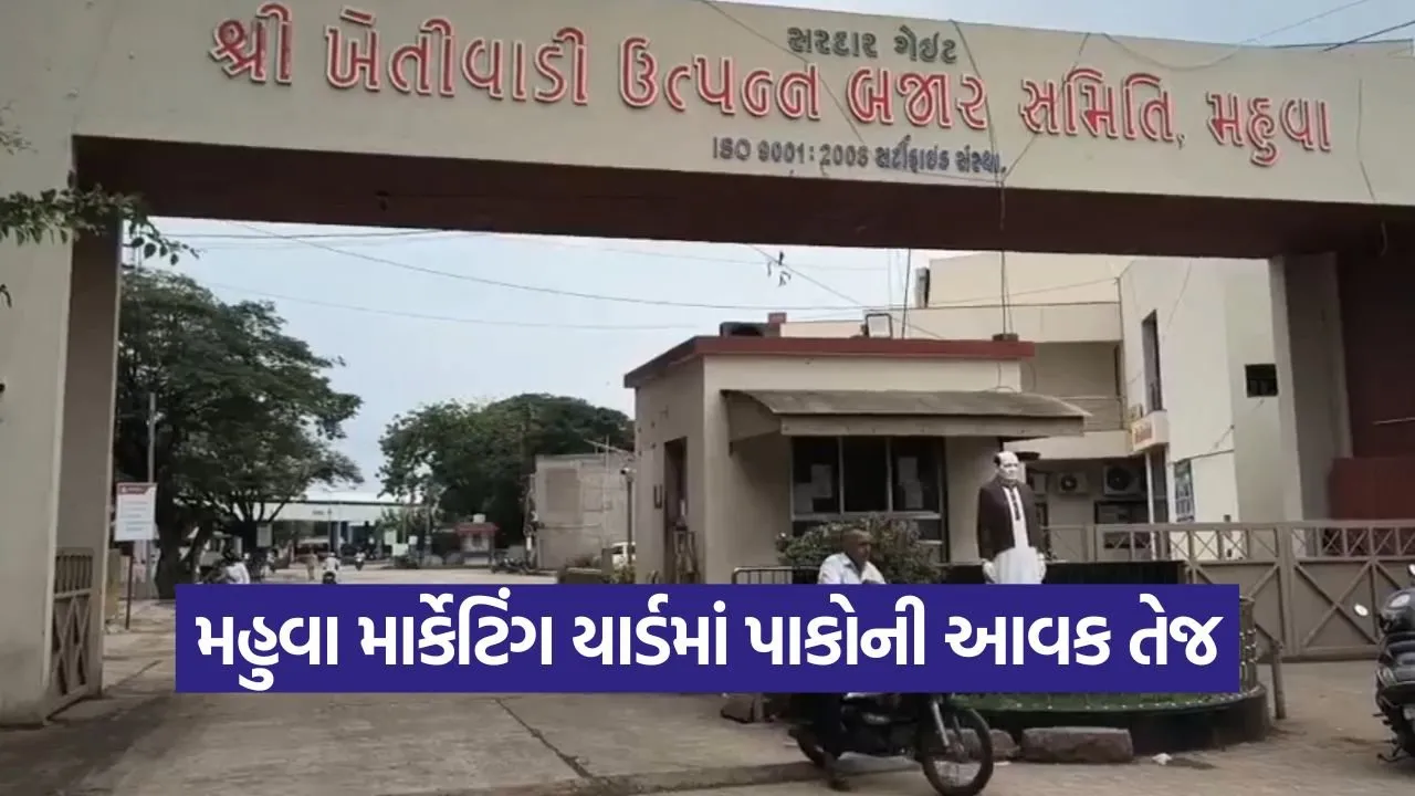 Mahuva Marketing Yard Prices.jpg
