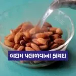 Dharmishtha 93