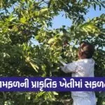 natural farming success 1