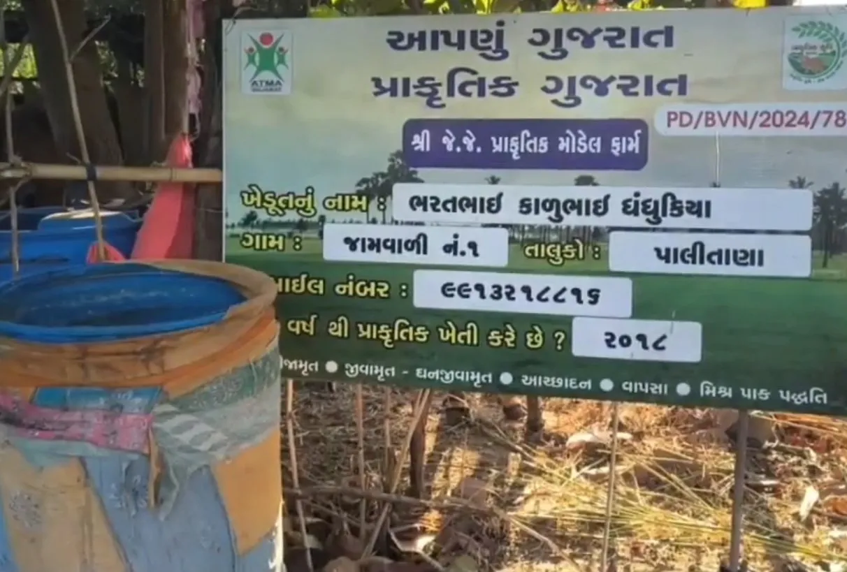 ભાવનગરના ખેડૂતનું પ્રયોગાત્મક ખેતી મોડેલ બન્યું પ્રેરણારૂપ 3 natural farming success 1.jpeg