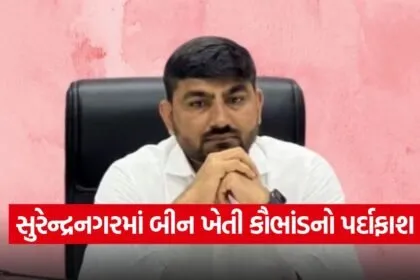 Surendranagar NA Land Scam 1
