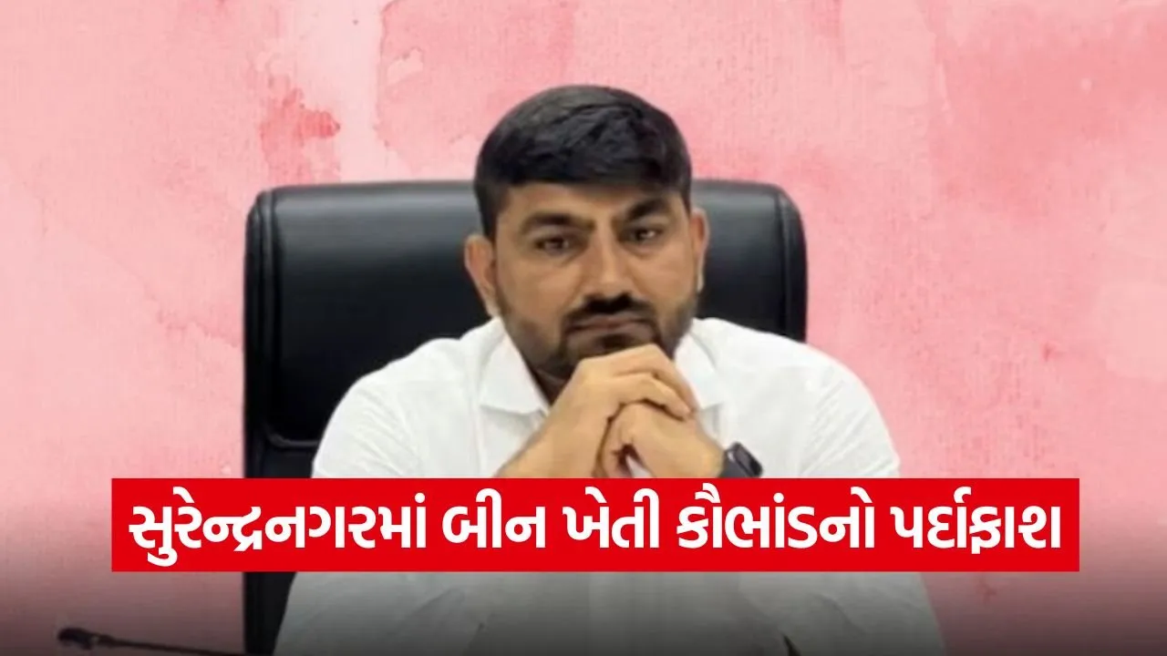 Surendranagar NA Land Scam 1.jpg