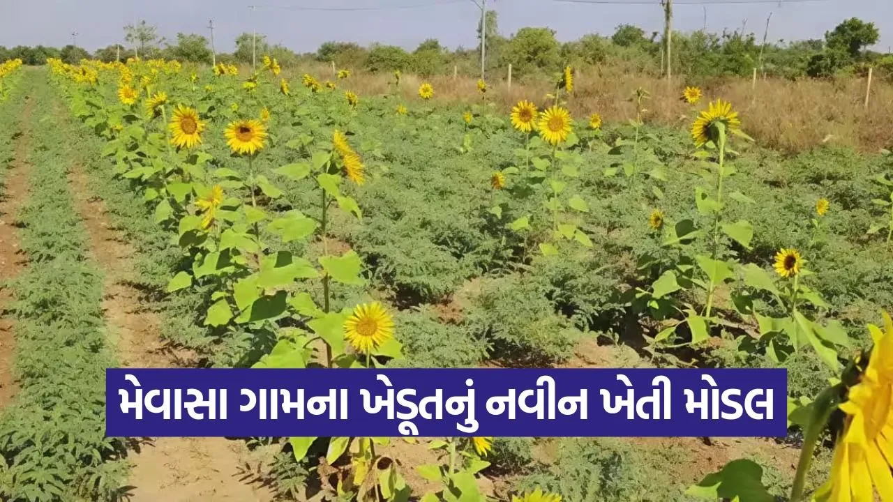 Mixed Farming Model Gujarat 1.jpg