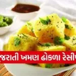 Khaman Dhokla Recipe