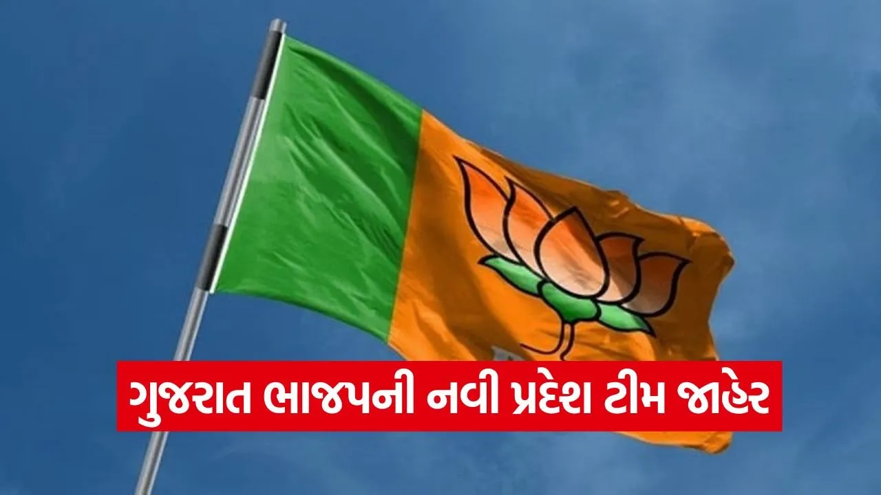 Gujarat BJP Team Announcement 1.jpg