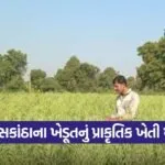 Natural Farming Success 2
