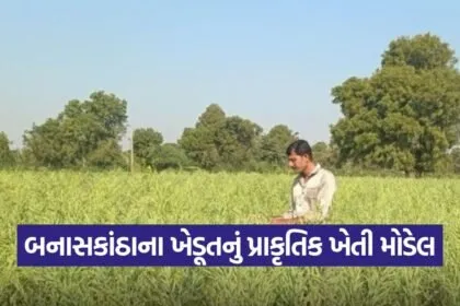 Natural Farming Success 2