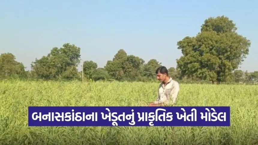 Natural Farming Success 2