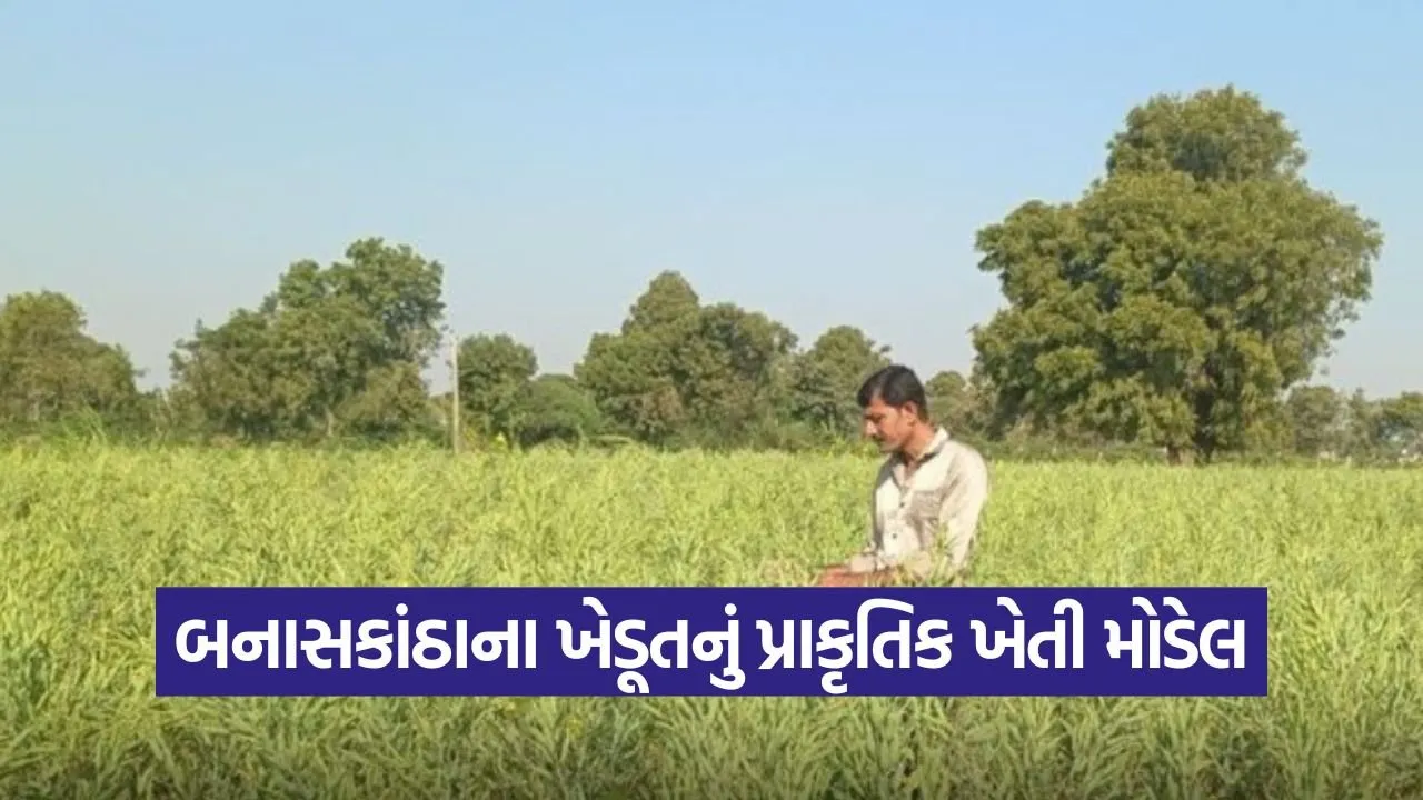 Natural Farming Success 2.jpg