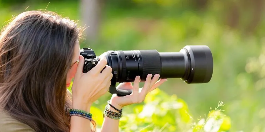 Wildlife Photography 
