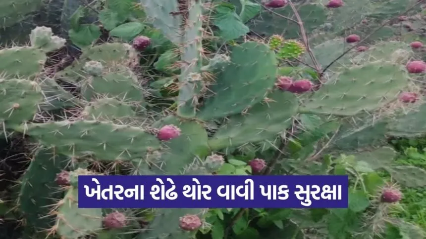 Thor Farming Natural Crop Protection 1