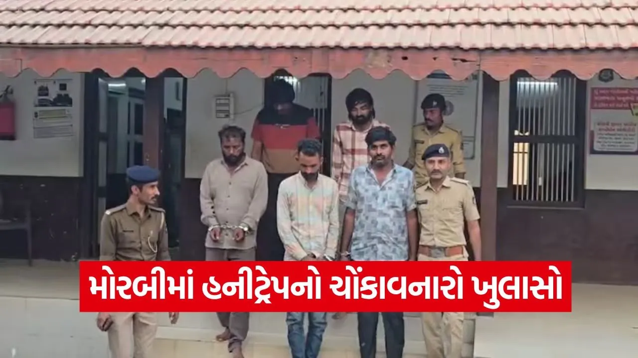 Morbi Honey Trap Case 1.jpg