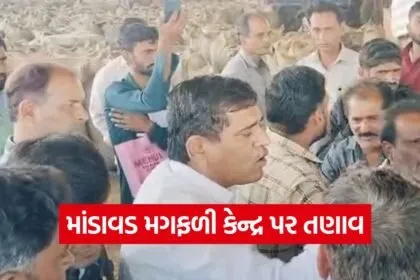 Visavadar Peanut Controversy